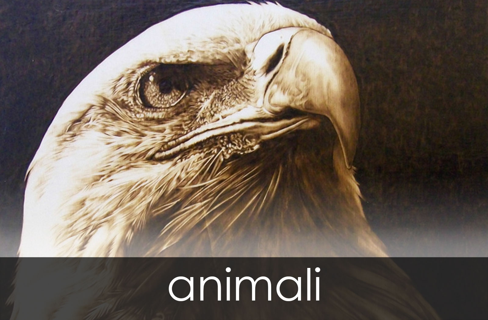 animali